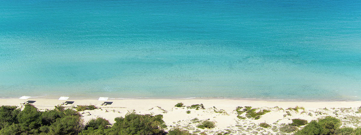 Добро пожаловать!